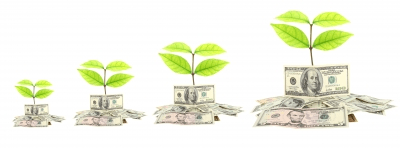 money growing plants